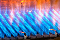 Wembury gas fired boilers